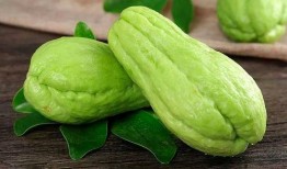 串铃瓜怎么吃,解锁美味新体验