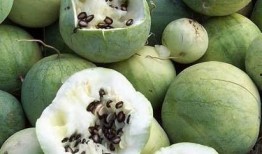 黑料吃瓜网今日大瓜,真相令人震惊！