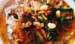 吃瓜鱼牌,探寻美食背后的故事与魅力