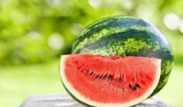 吃瓜吃太多会有什么病症,揭秘可能导致的各种病症