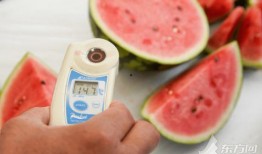 吃瓜就吃顶呱呱,揭秘顶呱呱瓜果的神奇魅力