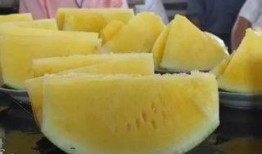 区域吃瓜,品味生活百态