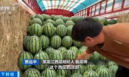 易俗河吃瓜,一场别开生面的吃瓜狂欢