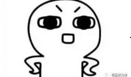 我是一只找不到瓜吃的猹,一只猹的奇幻冒险