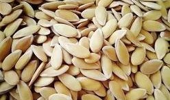 德国贵族吃瓜,瓜果盛宴背后的奢华生活