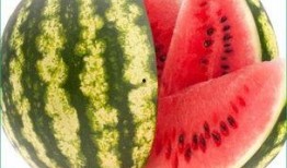 哪里可以天天吃瓜,揭秘娱乐圈的“新鲜瓜果”