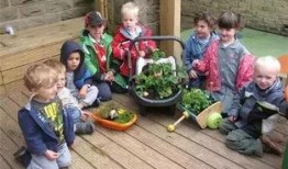 吃瓜奇妙小镇,一场味蕾与心灵的奇妙之旅