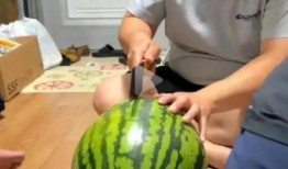 直播间吃的瓜叫什么瓜,揭秘网络流行语背后的故事