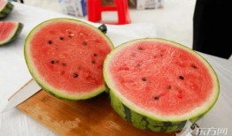 吃瓜就吃顶呱呱,揭秘顶呱呱瓜果的神奇魅力
