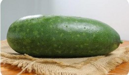 怎么发吃瓜作品,如何轻松制作热门吃瓜作品