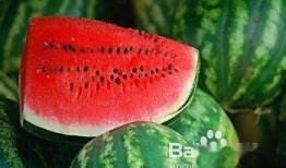 吃头孢可以打心瓜育苗吗,探讨抗生素在农业中的应用