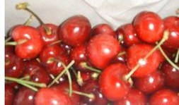 小樱桃吃瓜,小樱桃的夏日吃瓜日记