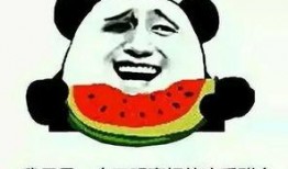 怎样在外网吃瓜,揭秘外网吃瓜指南