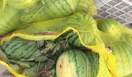 布车吃瓜,揭秘网络热词背后的文化现象