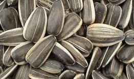 孕妇可以吃葵瓜,葵瓜助力母婴健康