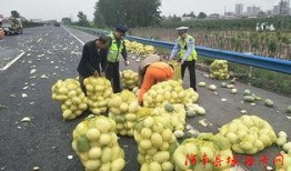 顺平吃瓜群众,揭秘当地热点事件背后的故事