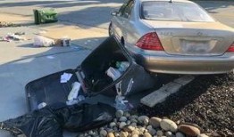 车祸撞车吃瓜狗,撞车瞬间，吃瓜狗成意外焦点