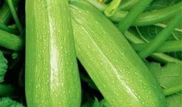 辛章最新吃瓜,揭秘娱乐圈幕后真相