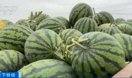 长垣吃瓜新闻梦梦,揭秘长垣吃瓜新闻背后的故事