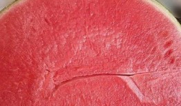 南京某银行吃瓜