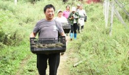桐梓吃瓜,揭秘当地特色美食背后的故事