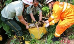 天津消防救援大爷吃瓜,消防精神与幽默并存