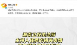 娱乐吃瓜官方入口,吃瓜官方入口带你探秘明星生活