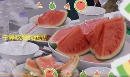 最近酒店吃瓜,揭秘近期酒店吃瓜大事件背后的真相