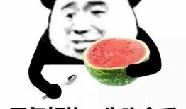 带你吃瓜熊猫人,带你领略“带你吃瓜熊猫”的趣味人生