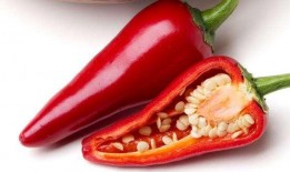 晋江作者吃瓜辣椒,揭秘晋江文坛幕后风云