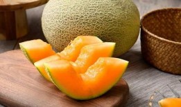 大雁吃哈密瓜图片,共享丰收喜悦的生态瞬间