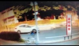 吃瓜老人视频,网络红人背后的故事与魅力