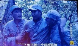 六公主在吃瓜,揭秘娱乐圈幕后故事