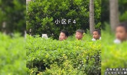 男子翻栏吃瓜摔倒,意外成为街头焦点