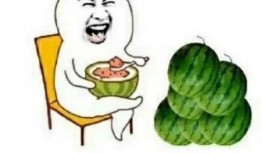 快乐吃瓜渣,品味人生百态