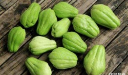 吃鸡用什么瓜,瓜类美食大揭秘