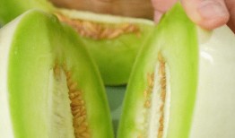 吃中药可以吃甜宝瓜吗,中药养生与甜宝瓜的搭配指南