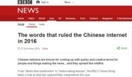 外网评论中国吃瓜,网络舆论场中的社会观察与反思