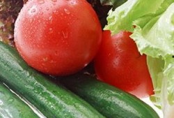 片瓜和黄瓜能一起吃吗,能否共食的饮食搭配探讨