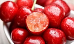 北美吃瓜小樱桃