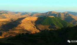 庄浪永宁吃瓜,夏日吃瓜盛宴，感受乡村田园生活