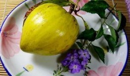 vac仙桃吃瓜,揭秘网络红人吃瓜背后的故事