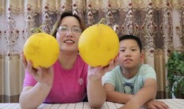 黄河蜜瓜咋吃,美味多汁，尽享夏日清凉