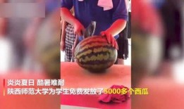 郑州学院吃瓜视频,校园生活趣味瞬间大揭秘