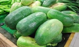 欲瓜咋吃,探索夏日消暑美食的多样吃法