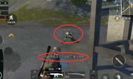 吃鸡用什么瓜,瓜类美食大揭秘