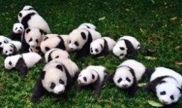 山西吃瓜恐龙,探寻三晋大地上的神秘史前生物