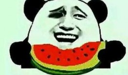 被导师吃瓜,一场校园风云的幕后真相