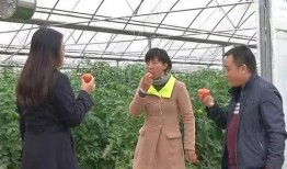 吃瓜群众围观电焊,揭秘电焊工作现场