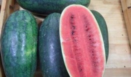 黑历史吃瓜,那些年明星们的黑历史瓜料大公开